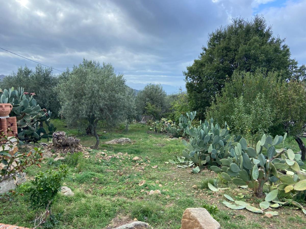Villa Al Presti, Vacanze In Pieno Relax Cefalu Exterior photo