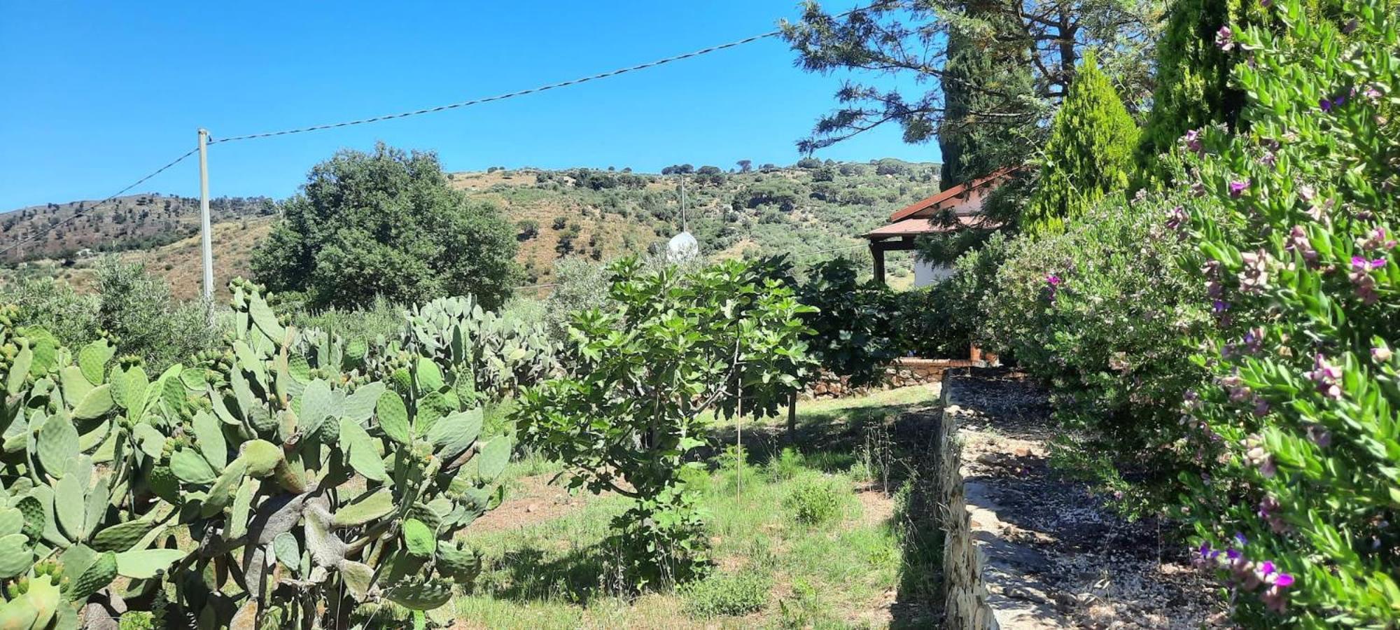 Villa Al Presti, Vacanze In Pieno Relax Cefalu Exterior photo